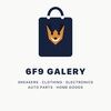 6f9galery